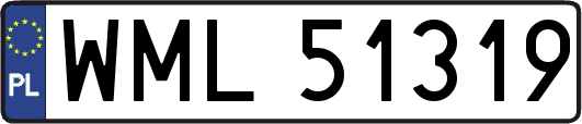 WML51319