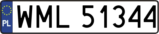 WML51344