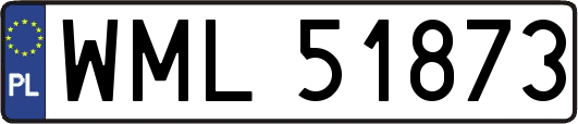 WML51873