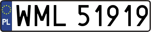 WML51919