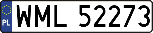 WML52273