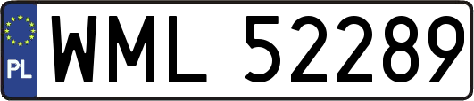 WML52289