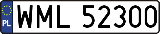 WML52300