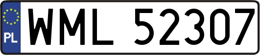 WML52307
