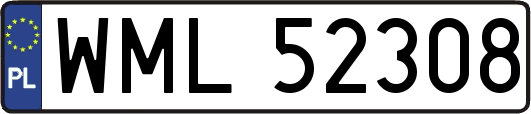 WML52308