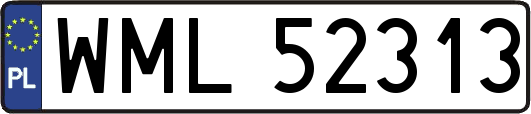 WML52313