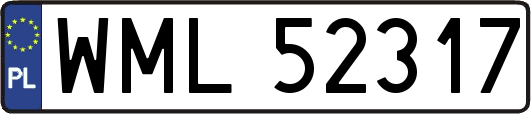 WML52317