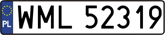 WML52319
