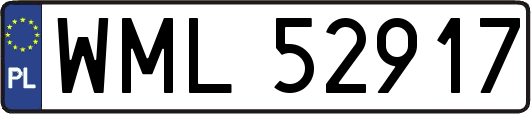 WML52917