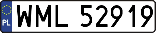 WML52919