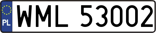 WML53002