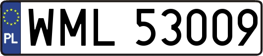 WML53009