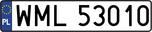 WML53010