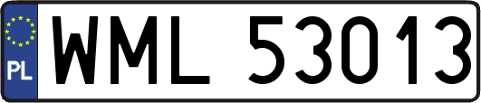 WML53013