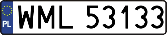 WML53133