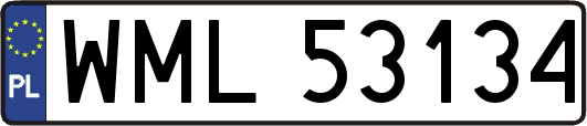 WML53134