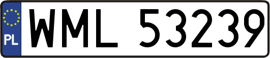 WML53239