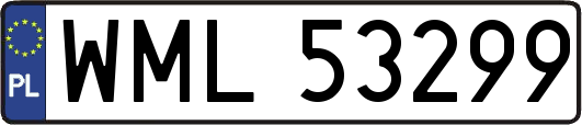 WML53299