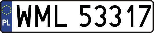 WML53317