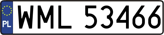 WML53466