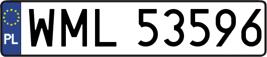 WML53596