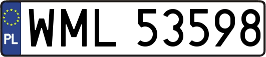 WML53598