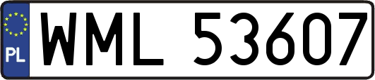 WML53607