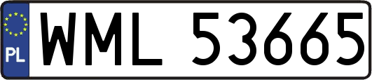 WML53665