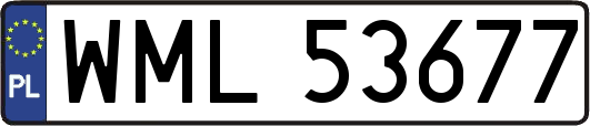 WML53677