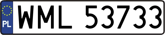 WML53733