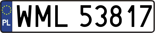 WML53817