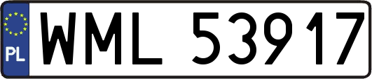 WML53917