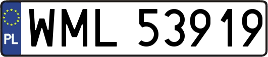 WML53919