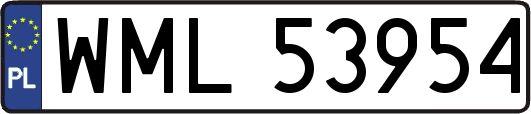 WML53954