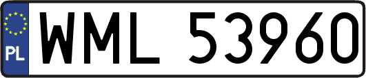 WML53960