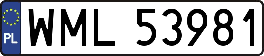 WML53981
