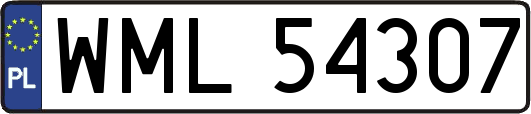 WML54307