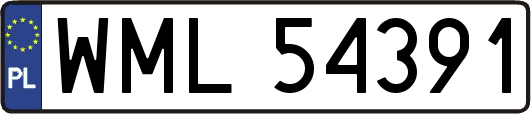WML54391