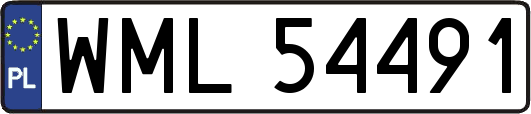 WML54491