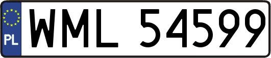 WML54599