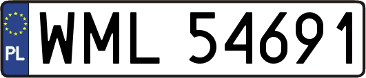 WML54691