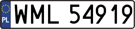 WML54919