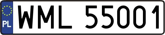 WML55001
