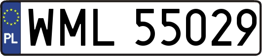 WML55029
