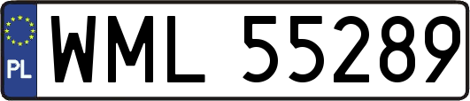 WML55289