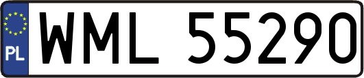 WML55290