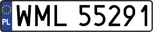 WML55291