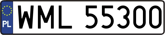 WML55300