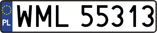 WML55313