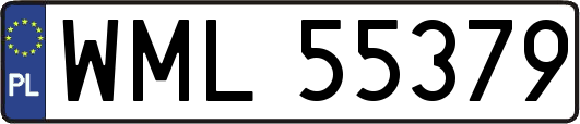 WML55379